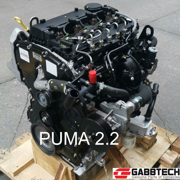 Puma 2.2 engine assembly